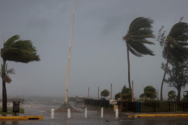 Thumbnail for 6798682