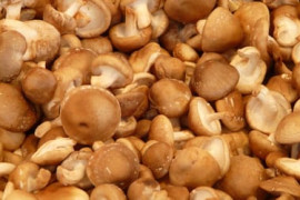 Thumbnail for 6798686