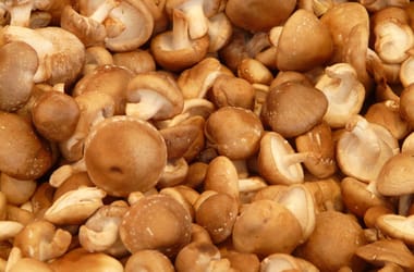 Thumbnail for 6798686