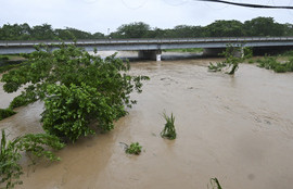 Thumbnail for 6798732