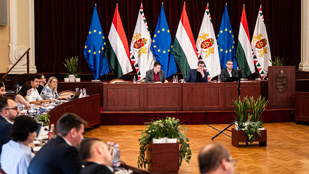 Thumbnail for 6798734