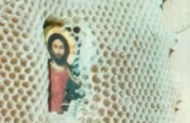 Thumbnail for 6798823