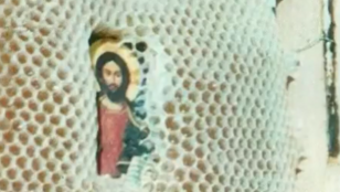 Thumbnail for 6798823