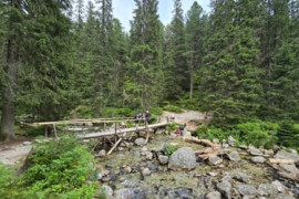 Thumbnail for 6798835