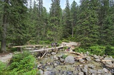 Thumbnail for 6798835