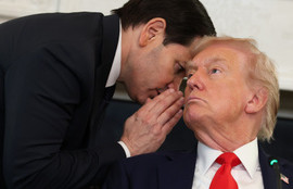 Thumbnail for 6798985