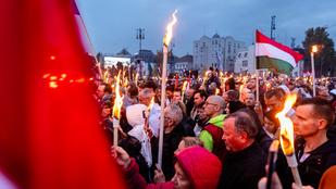 Thumbnail for 6798990