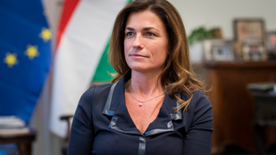 Thumbnail for 6799048