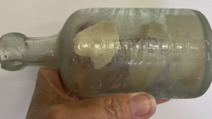 Thumbnail for 6799217