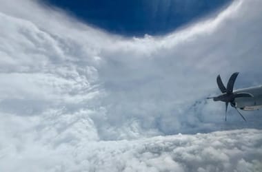 Thumbnail for 6799234