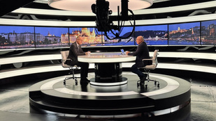 Thumbnail for 6799262