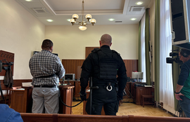 Thumbnail for 6799374