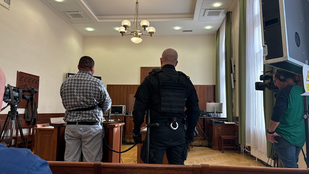 Thumbnail for 6799374