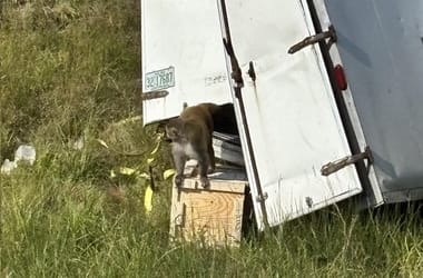 Thumbnail for 6799526