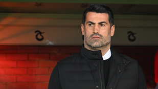 Thumbnail for 6799544