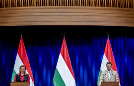 Thumbnail for 6799637