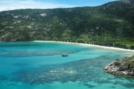 Thumbnail for 6799640