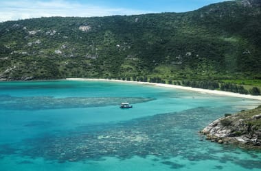 Thumbnail for 6799640