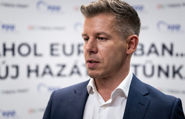 Thumbnail for 6799661