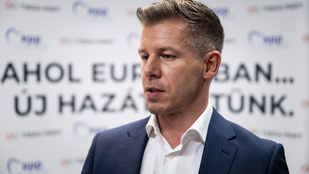 Thumbnail for 6799661