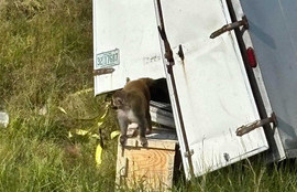 Thumbnail for 6799781