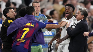 Thumbnail for 6799812