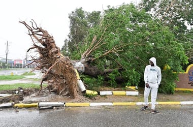 Thumbnail for 6799895