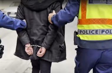 Thumbnail for 6799908