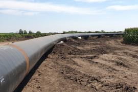 Thumbnail for 6800038