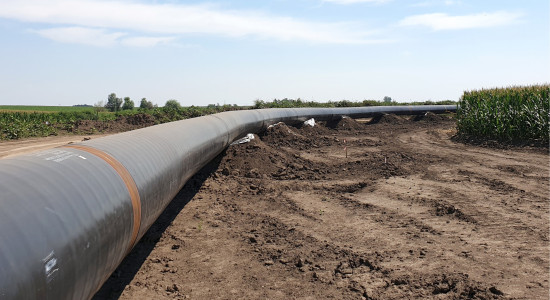 Thumbnail for 6800038