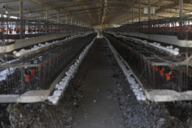 Thumbnail for 6800230