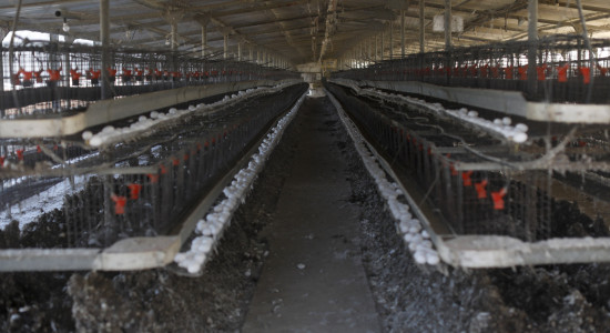 Thumbnail for 6800230