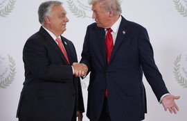 Thumbnail for 6800235