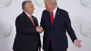 Thumbnail for 6800235