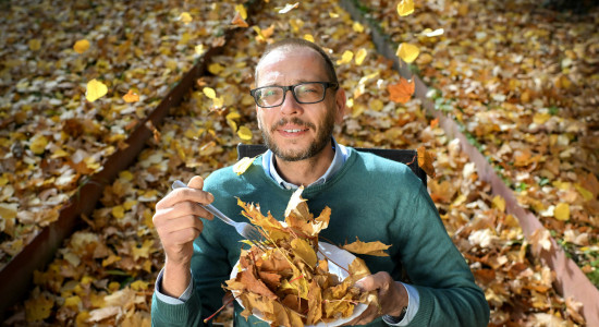 Thumbnail for 6800319