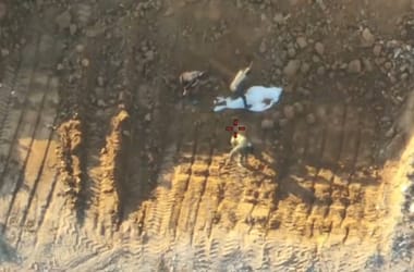 Thumbnail for 6800321