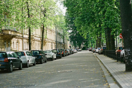 Thumbnail for 6800329