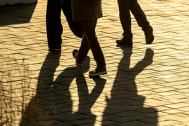 Thumbnail for 6800340