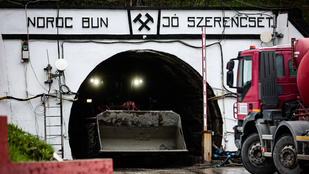 Thumbnail for 6800412