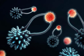 Thumbnail for 6800427