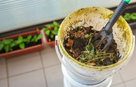 Thumbnail for 6800521