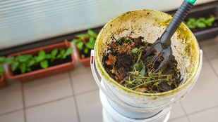 Thumbnail for 6800521