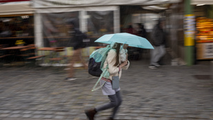 Thumbnail for 6800644