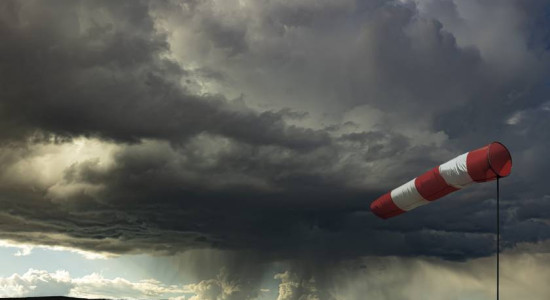 Thumbnail for 6800892