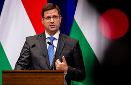 Thumbnail for 6800958