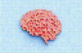 Thumbnail for 6801078