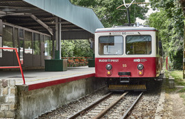 Thumbnail for 6801241