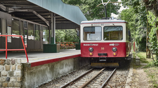 Thumbnail for 6801241