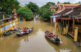 Thumbnail for 6801249