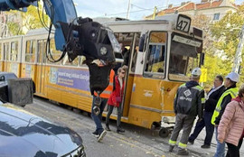 Thumbnail for 6801337